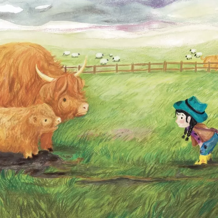 Highland cow, cow and calf, highland cowgirl, picture book illustration, illustration of a highland cow, mixed media picture book illustration , cowgirl illustration 